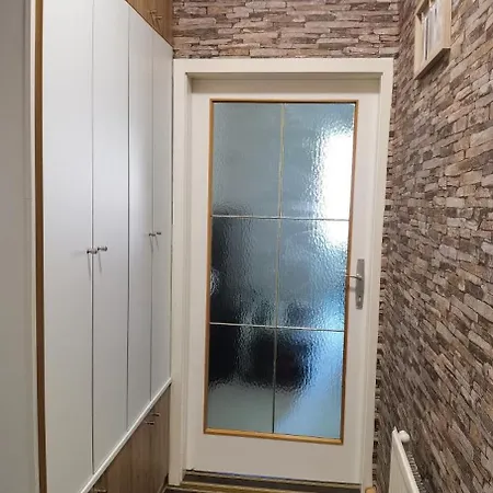 Alexander Niederaigen