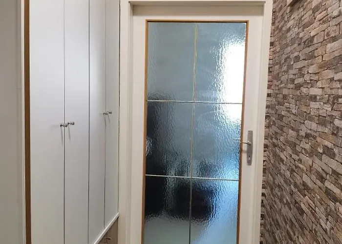 Alexander Niederaigen