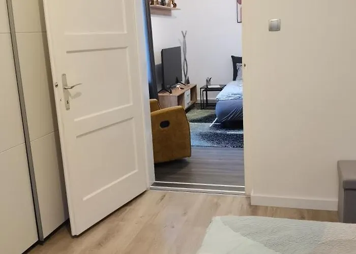 Apartman Alexander *